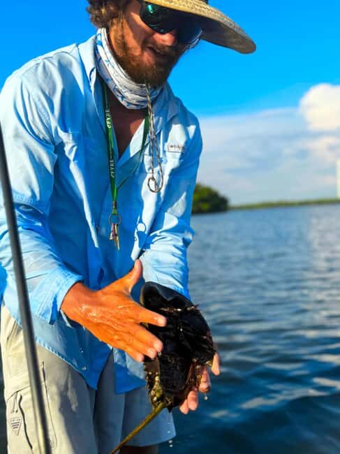 Bonita Springs: Kayak Tour with Manatees, Dolphins Sightings - Detailed Itinerary and Experience Breakdown