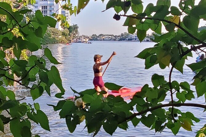 Bonnet House 2 Hour Rental (Paddleboard or Kayak) - The Sum Up