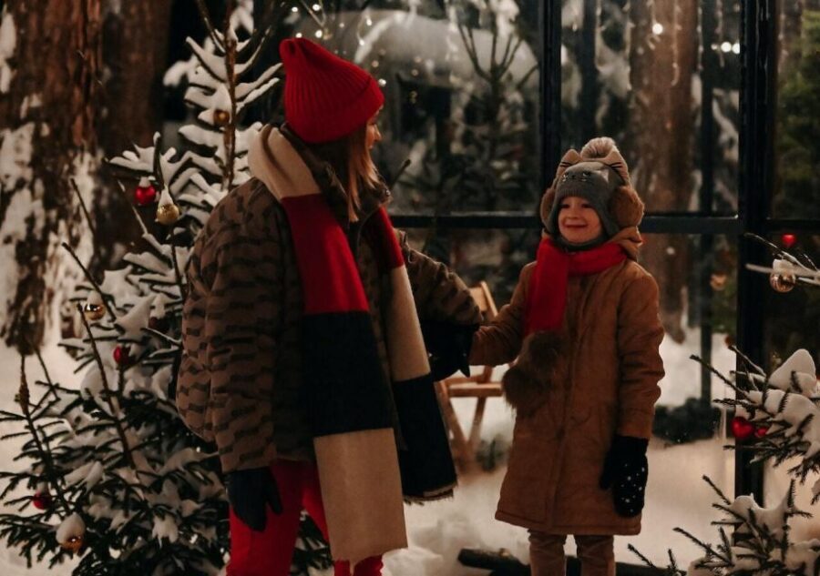 Boston: A Bostonian Christmas Private Tour - What Makes This Tour Stand Out?