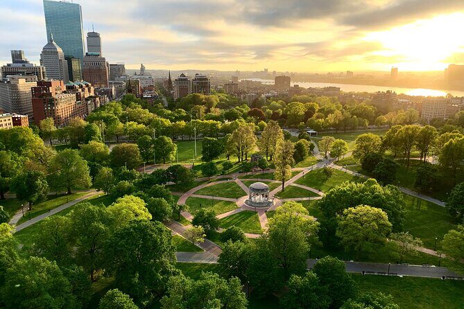 Boston & Cambridge Icons: Private 7-Hour Discovery Tour - What Makes This Tour Stand Out?