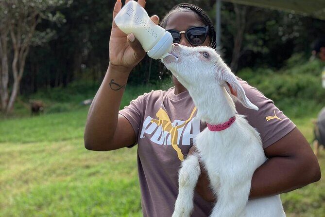 Bottle Feed & Cuddle Baby Goats Tour on Big Island Farm - Who Will Enjoy This Tour?