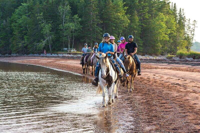 Brudenell: Family-Friendly Horse Ride goes on the Beach - What Visitors Say