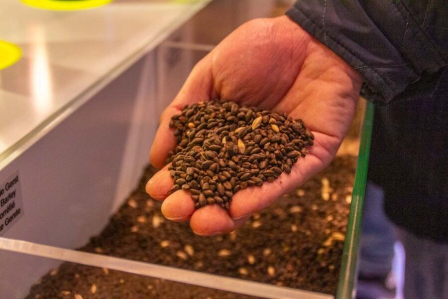 Bruges: History, Chocolate and Beer Walking Tour - A Detailed Breakdown of the Tour