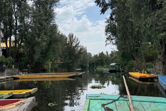 Brunch at Xochimilco, México City. - Who Should Consider This Tour?
