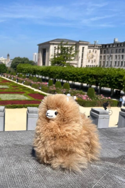 Brussels Day Trip from Paris or Amsterdam by Mini-Van - What Our Reviews Tell Us