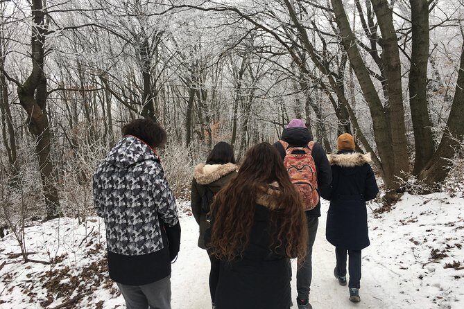 Budapest Hike - Who Should Book This Tour?