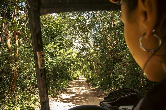 Buggy Ride through Playa del Carmen Tour - What Travelers Can Expect