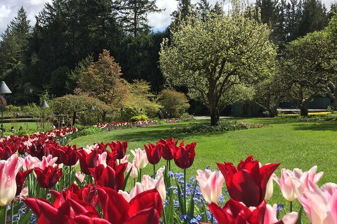 Butchart & Beyond: The Grand Victoria Tour - Who Will Love This Tour?