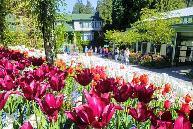 Butchart Gardens and City Highlights Private tour - Why This Tour Offers Good Value