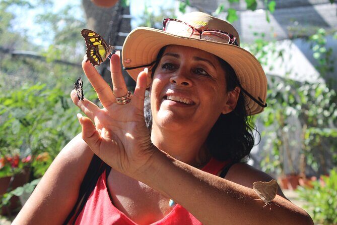 Butterflies, beach Tour with Tequila Tasting (PRIVATE TRANSPORT) - Who Will Love This Tour?