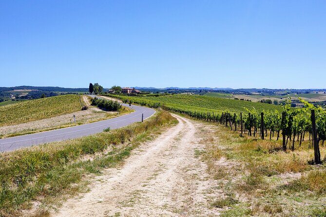 By Ebike: Visit an Art Park and Wine Taste in the Classic Chianti - The Practicalities and Value