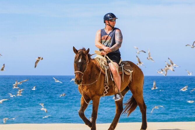 Cabo ATV Adventure with Camel and Horseback Ride - Practical Considerations