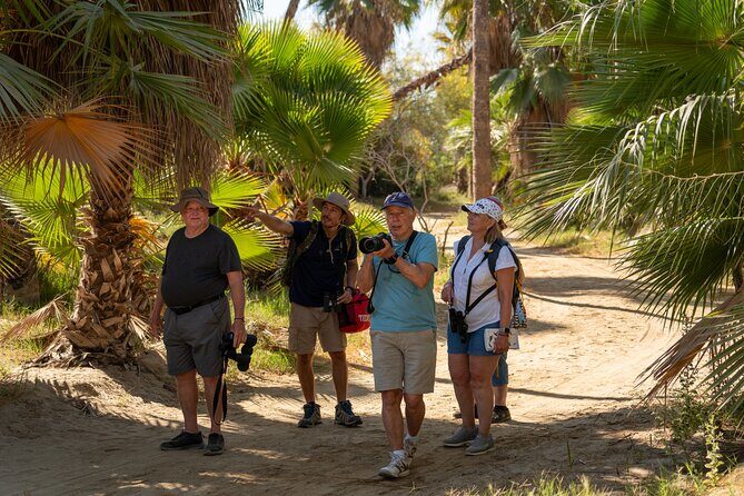 Cabo birding | Bird watching at bird sanctuary - Practical Details & Tips