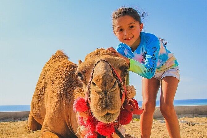Cabo Camel Ride: Beach Safari, Tequila Tasting & Buffet - What Travelers Can Expect