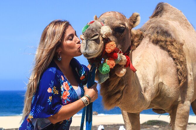 Cabo Camel Ride Experience - The Value of the Experience