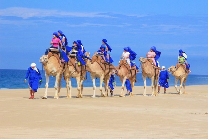 Cabo Camel Ride, Mexican Buffet and Tequila Tasting - The Camel Safari and Beach Ride