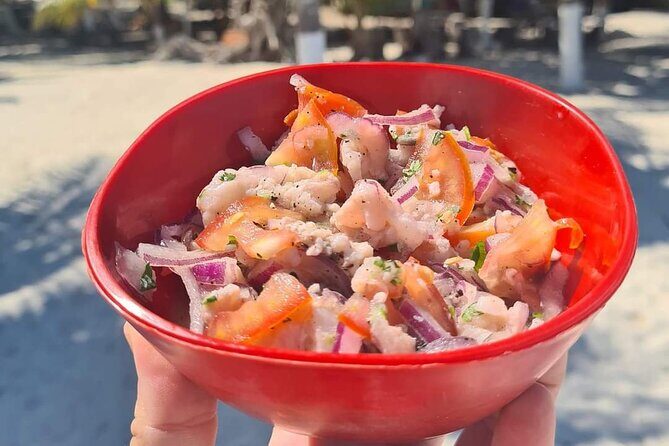 Cabo Catoche Tour with Fishing, Snorkeling and Ceviche - Who Will Love This Tour?