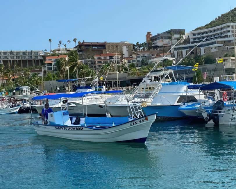 Cabo San Lucas: Arch Tour Glass Bottom Boat - Marine Life and Wildlife Encounters