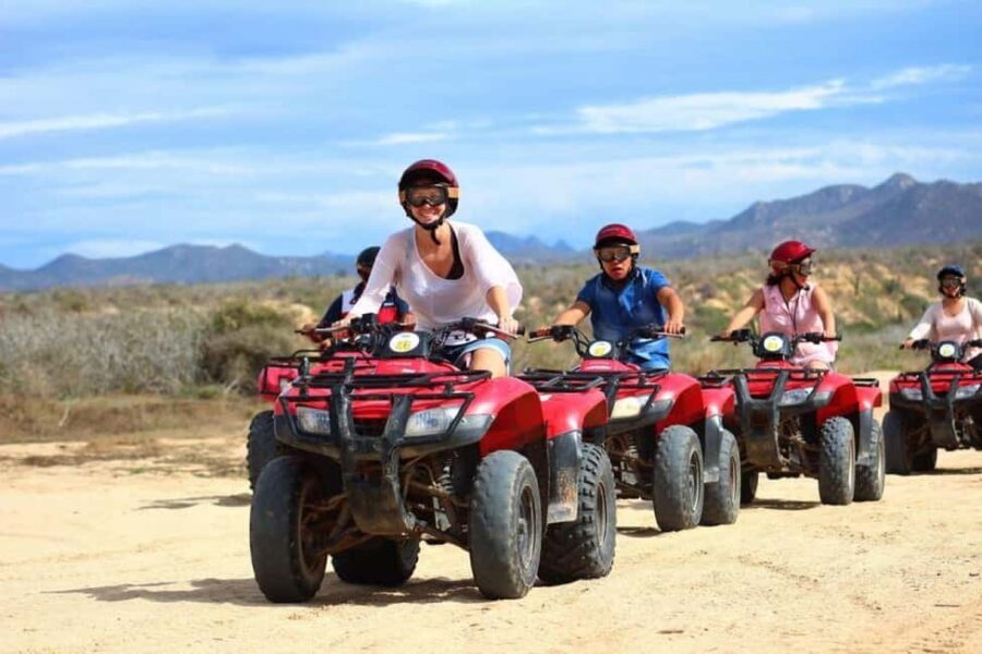Cabo San Lucas: ATV Beach & Desert Tour with Tequila Tasting - Learning About Baja’s Flora and Fauna
