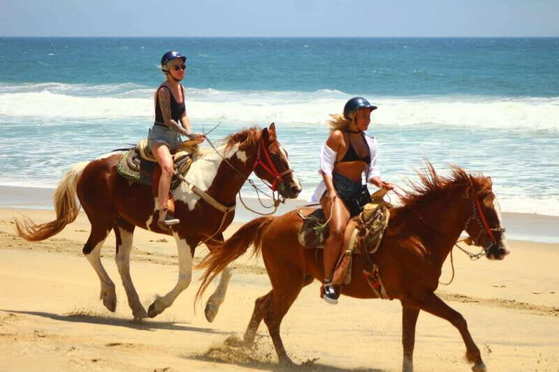 Cabo San Lucas :Combo ATV&Horseback riding with transfer - Authentic Experiences and Expert Guides