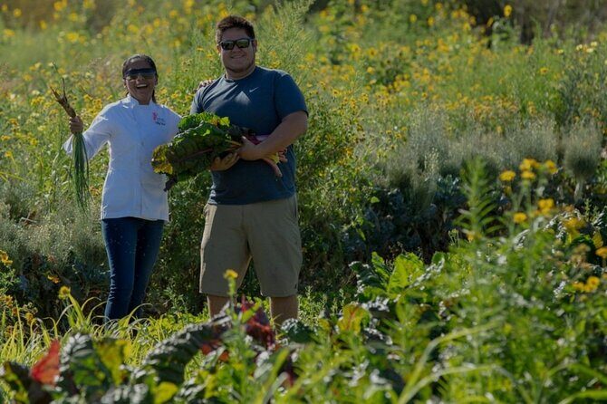 Cabo San Lucas Cooking Classes by Chef Ari - Who Will Love This Experience?