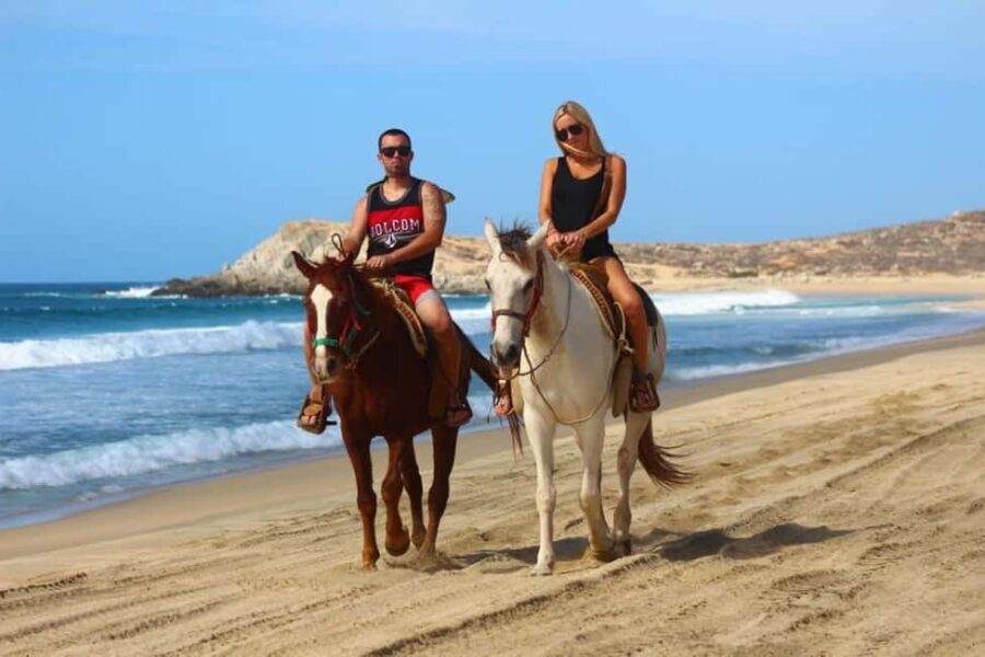 Cabo San Lucas: Horseback Riding on the Beach Experience - What You Can Expect During the Tour