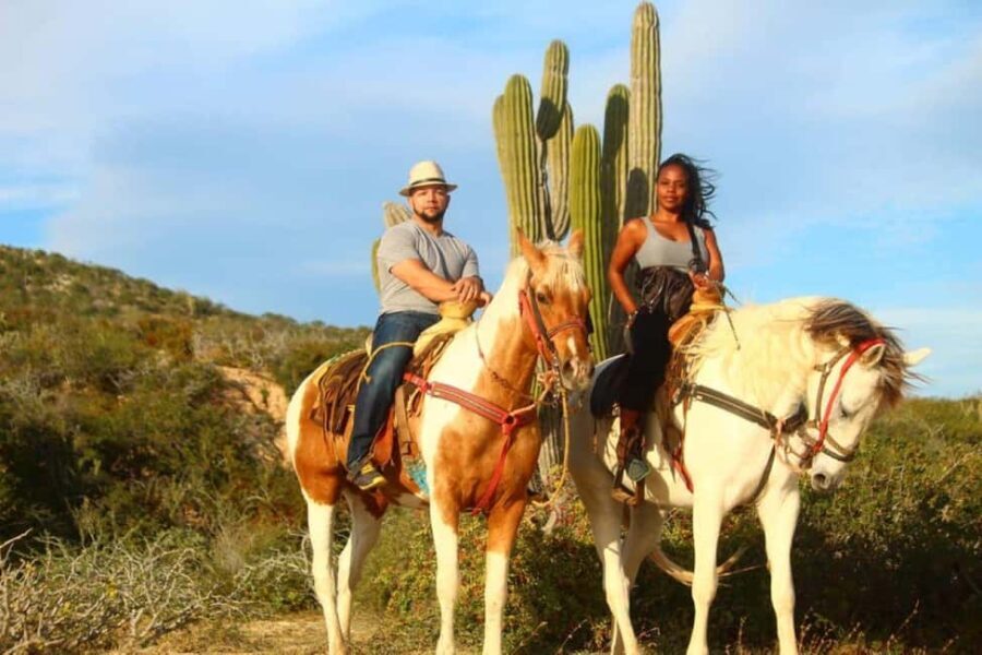 Cabo San Lucas: Migriño Horseback Riding Adventure - What to Expect on Your Horseback Ride