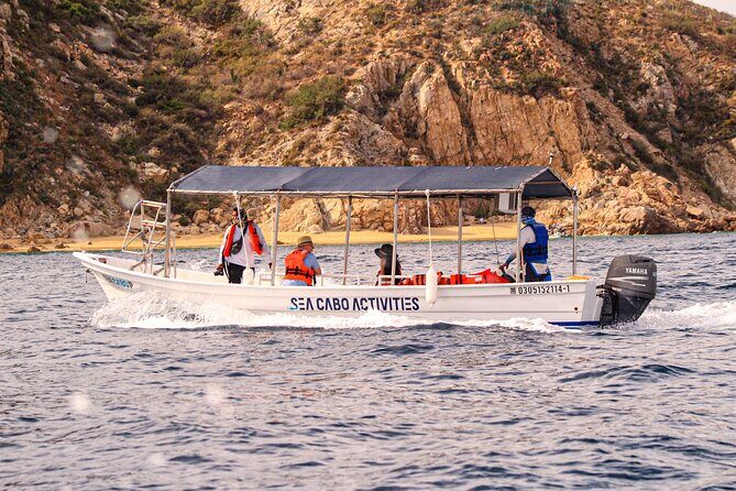Cabo San Lucas Shared Glass Bottom Boat Experience - Authentic Traveler Insights and Tips