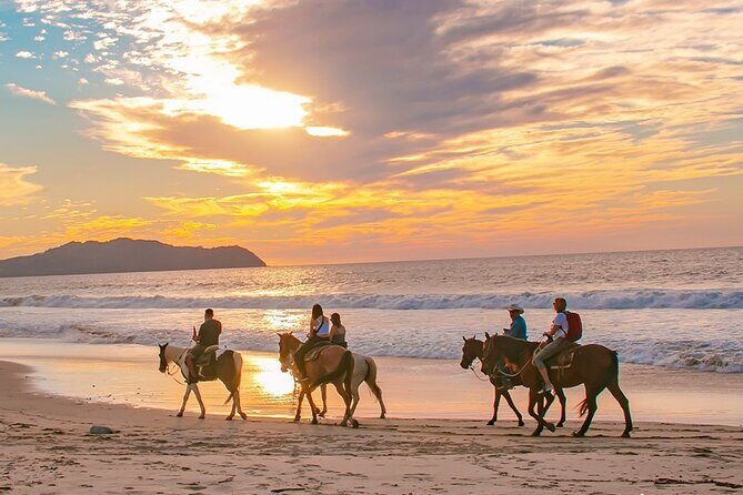Cabo Shore Excursion: Beach Horseback Ride & Tequila Tasting - What We Loved About the Tour