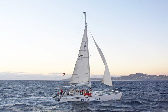 Cabo's Premier Catamaran Snorkeling: Explore the Waters! - The Sum Up