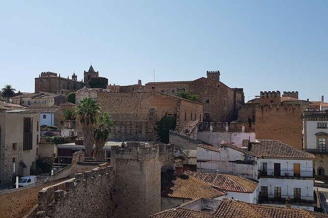 Cáceres Private Historic Walking Tour - Limitations and Considerations