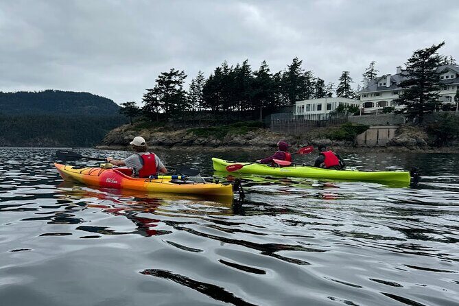 Cafes and Kayaks: Full Day Kayaking Adventure on Orcas Island - Who Should Consider This Tour?