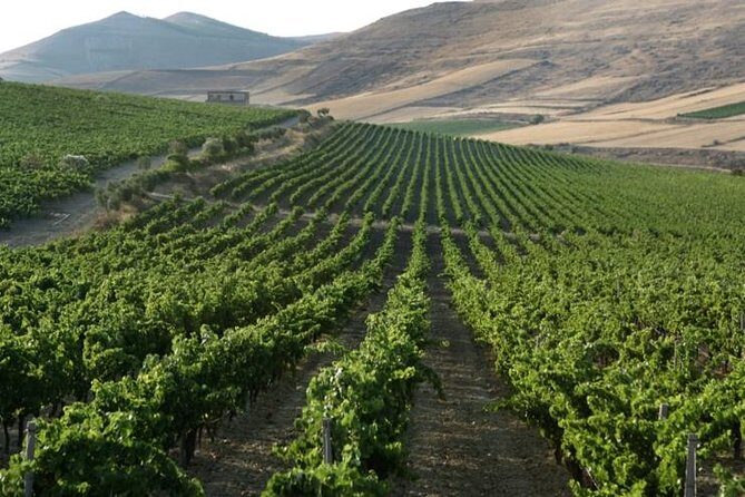 Cagliari Private Shore Excursion: Wine and Cheese Tasting - Frequently Asked Questions