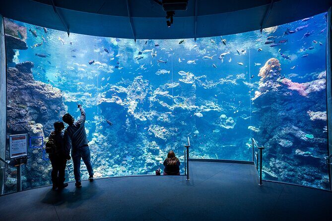 California Academy of Sciences General Admission Ticket - How the Experience Comes Together