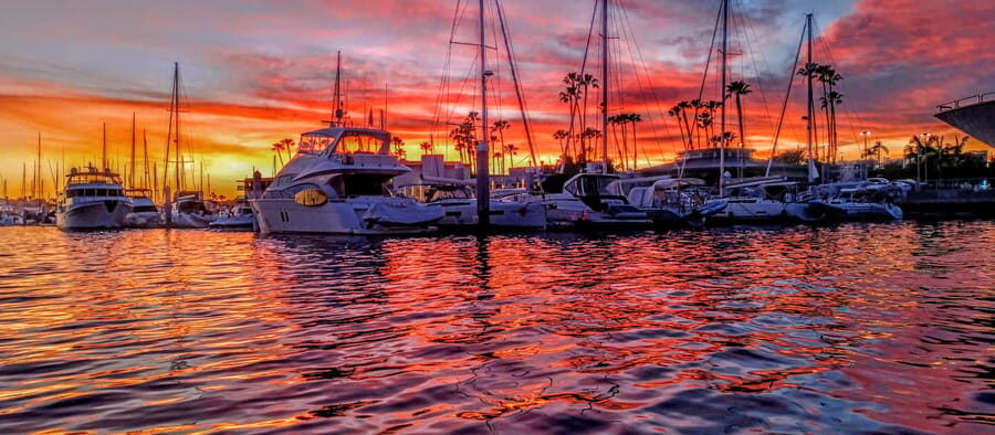 California Coastline Scenic Wildlife Photography Tour - Is This Tour Worth the Price?