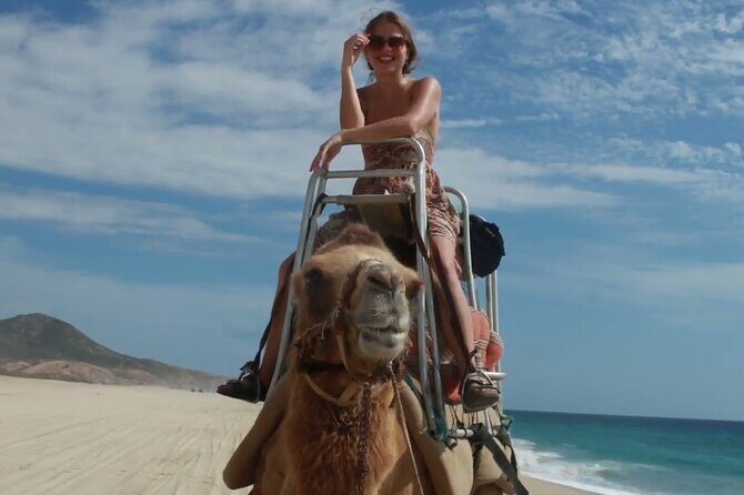 Camel Adventure on the Beach - An In-Depth Look at the Tour Experience