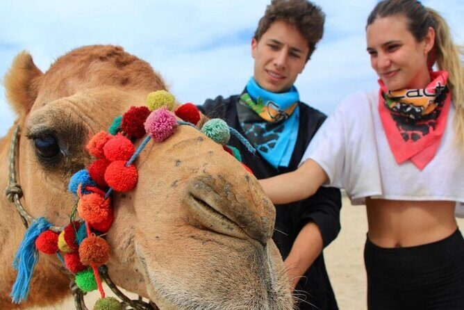 Camel Encounter and Safari Ride. Includes lunch & alcohol tasting - FAQ