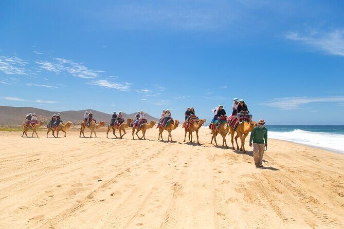 Camel Ride & ATV Combo in Migriño, Mexico - What to Expect on the Tour