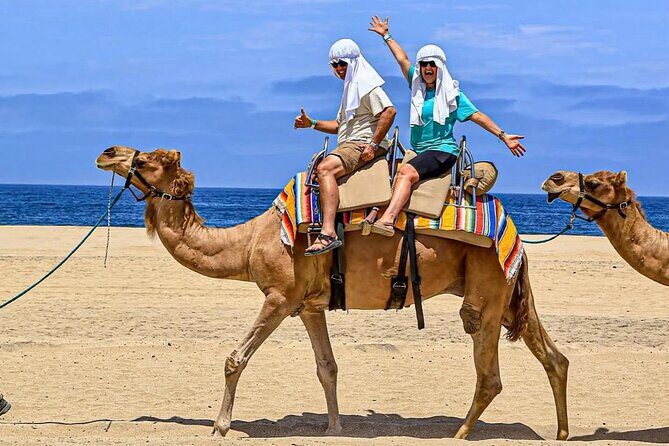 Camel Safari and Gastronomic Experience in Los Cabos - Who Should Consider This Tour?