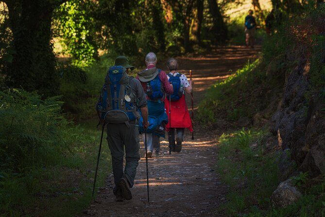 Camino de Santiago Portuguese from Tui to Santiago de Compostela - What Travelers Say