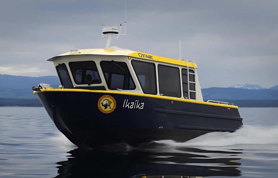 Campbell River: 6 Hour Covered Whale Watching Tour w/ Lunch - Who Will Enjoy This Tour?