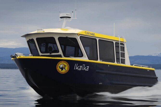 Campbell River, BC: 4 Hour Wildlife Tour Featuring Whale Watching - Analyzing the Value