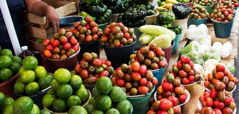 Campeche: Gastronomic Route through the city Market - Why This Tour Is a Great Choice