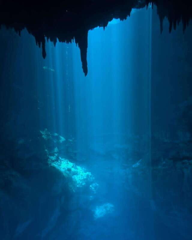 Cancun 2 Cenote Dives: The Pit & Dos Ojos - Certified Divers - Why This Tour Stands Out