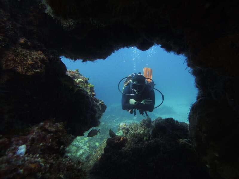 Cancun: 2 Reef Dives at Punta Cancun for Certified Divers - The Itinerary in Detail