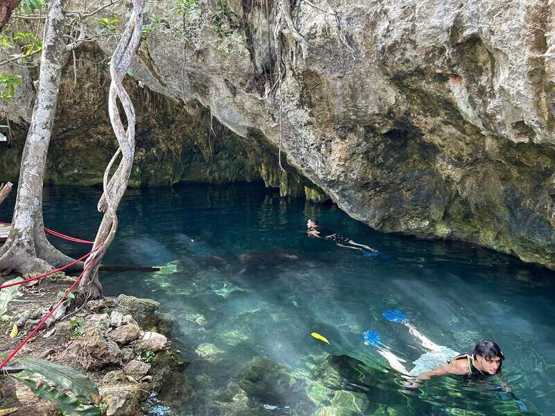 Cancun: 3 Cenotes & 1 Lagoon Tour - What We Loved About This Tour