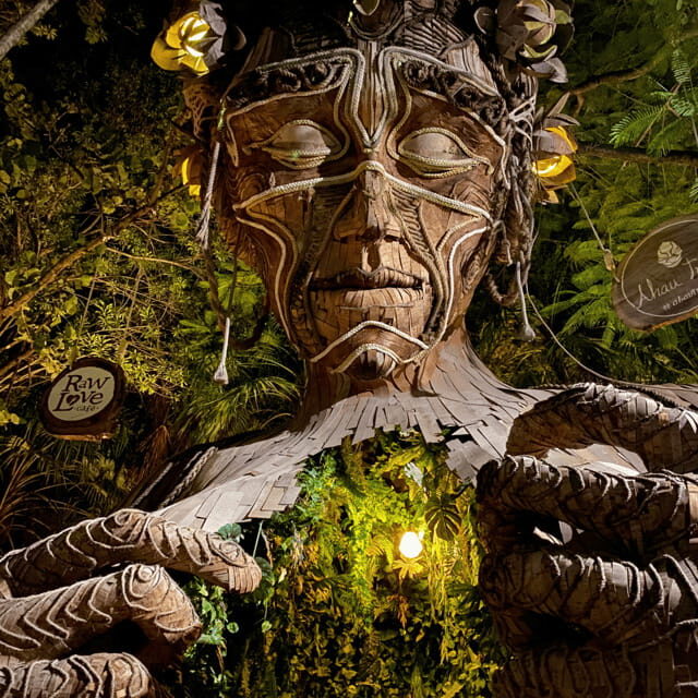 Cancun 4x1: Coba, Tulum, Playa del Carmen, and a Cenote - Pricing and Value