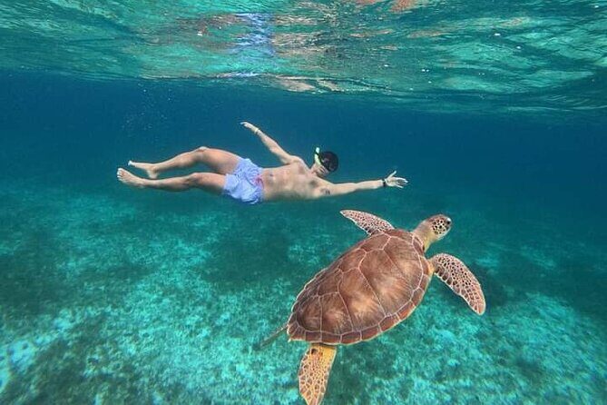 Cancun Catamaran: Sail to Isla Mujeres + Buffet & Drinks - FAQs