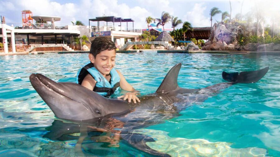 CANCUN: Dolphin Swim Adventure with buffet and soft drinks - What’s Included and What’s Not