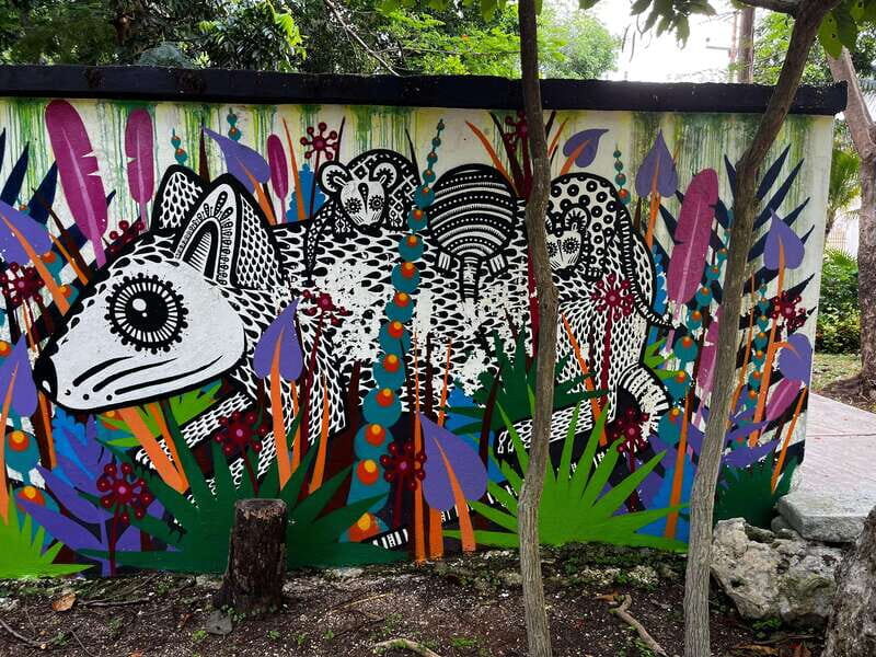 Cancun Downtown Evening Walking Tour - What to Expect from the Cancun Downtown Evening Walking Tour